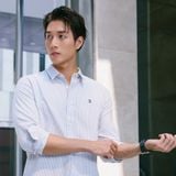 Áo Sơ Mi Nam Tay Dài Palewave Densed Stripes Form Slim - Ảnh 18